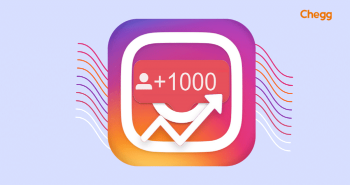 Cara mendapatkan 1000 followers instagram dalam 1 hari